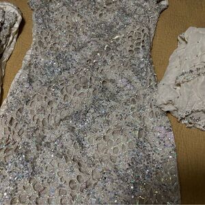 Elegant Sequin Lace Dress